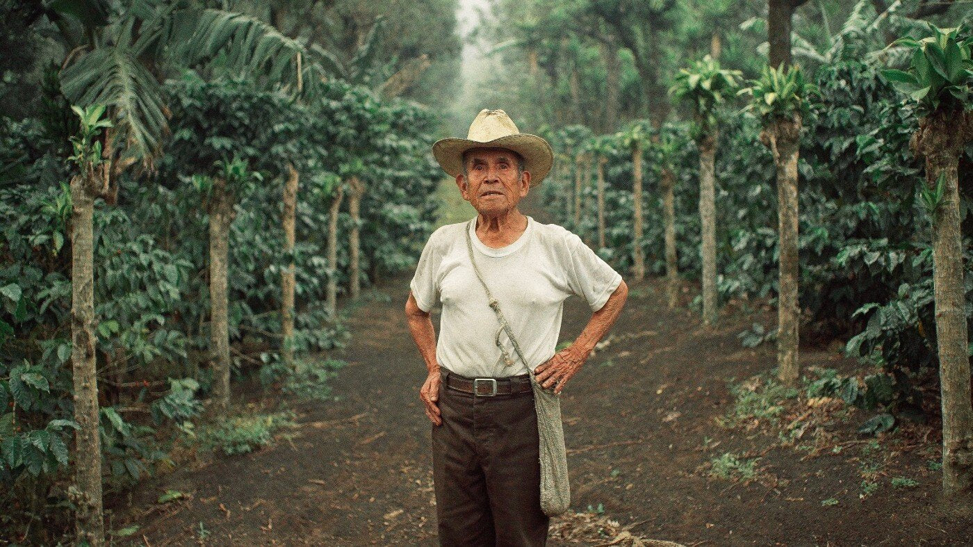 New Coffee: Guatemala Pachup