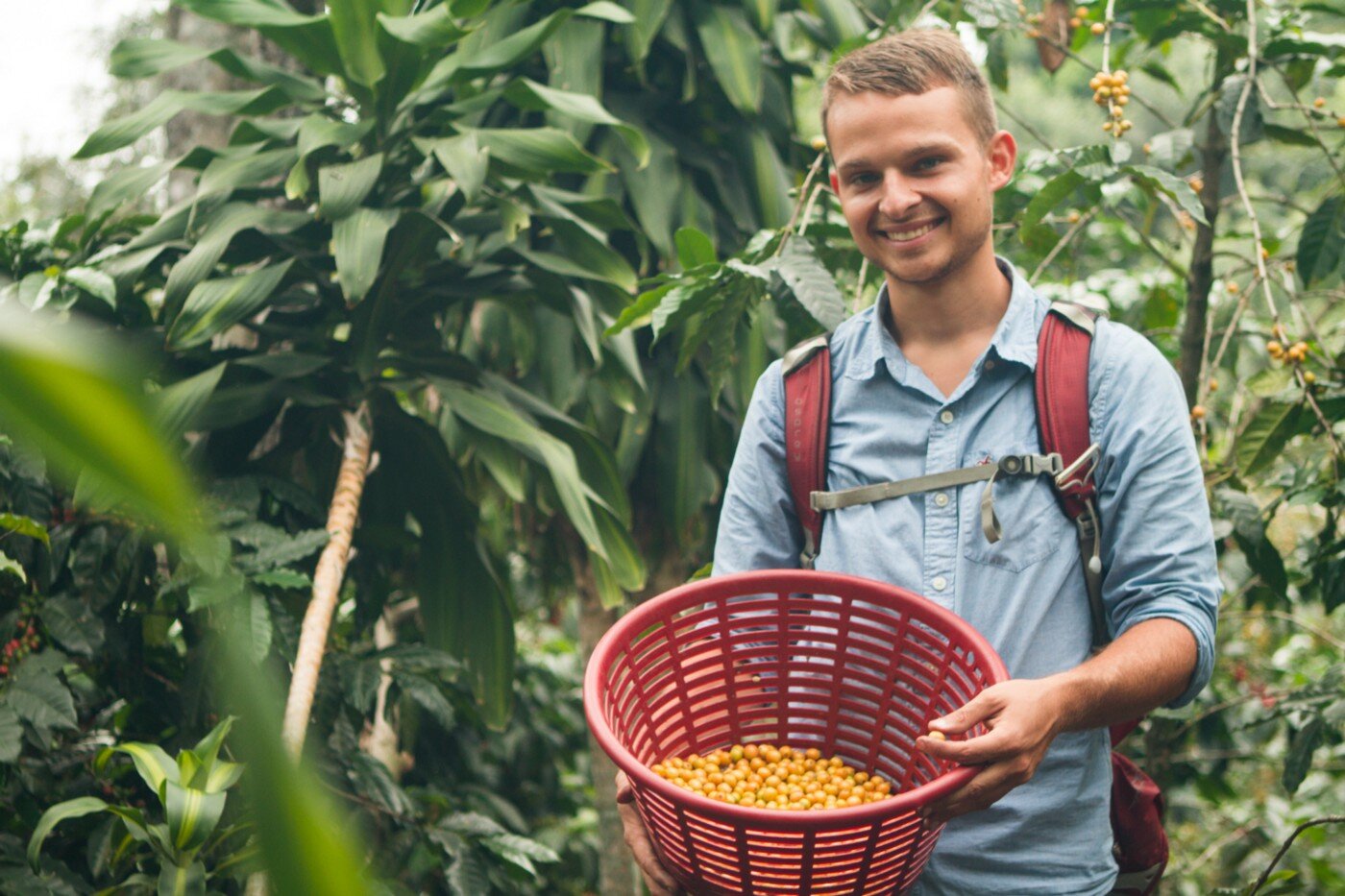 New Crop: The Pope's Choice 2019 - Finca La Union